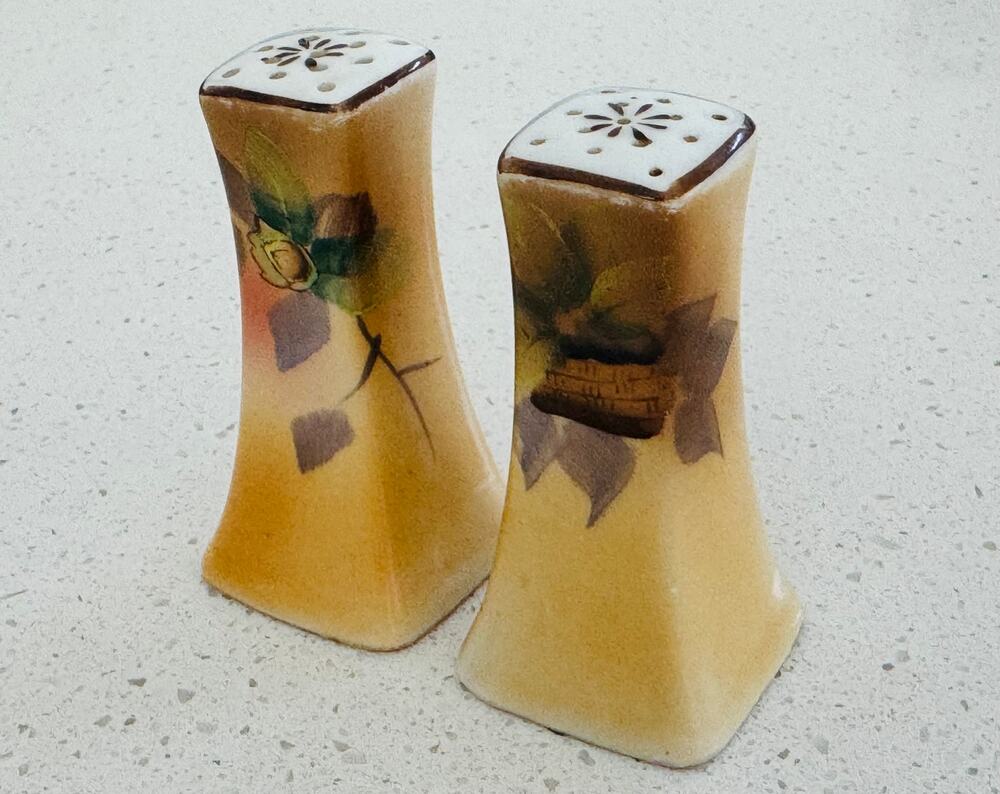 Vintage Mid-Century Japanese Hand-Painted Ceramic Salt & Pepper Shakers Japan